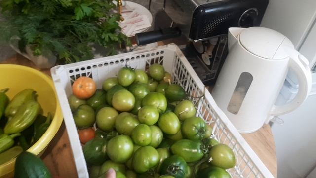 Дача🏡Собрала урожай 🥒🫑