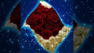 Я люблю ❤️ тебя Игорь Кибирев