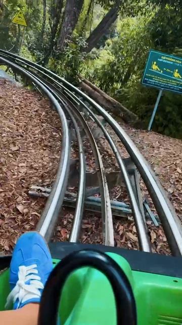 Вьетнам смотреть онлайн