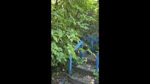 Продаётся дача в СНТ “Строитель”, г. Хабаровск