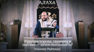 Заповедь без объяснения? Красная корова, свинина и шатнез — зачем выполнять?
