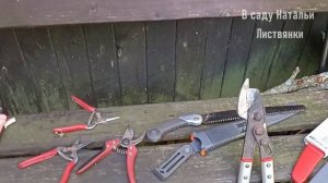 Дача 1-3 августа 2025, часть 1. Туи Spiralis, Zmatlik, инструмент ARS, птицы (зарянка и ворона)