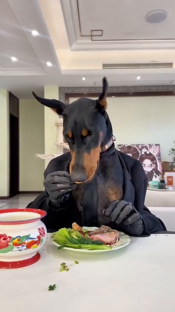 ASMR с важным мальчиком смотреть онлайн