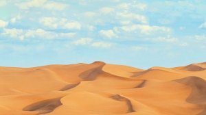 Сахих аль-Бухари, хадисы № 521-530. Фокус темы: МОЛИТВА (НАМАЗ, САЛЯТ) - 2