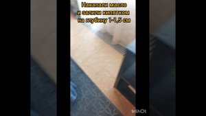 Я делаю ингаляцию попугаю. Видео от первого лица.