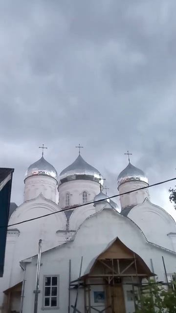 Такого нападения с неба я ещё не видел. ПЕРВОЕ ПРИРОДНОЕ ЯВЛЕНИЕ смотреть онлайн