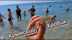 Крымский Крабик: Августовские Приключения в Коктебеле 2025! Детский Восторг!