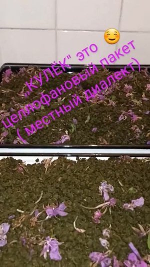 Пермь. Изготовление 🫖ИВАН ЧАЙ он же ЧАЙ КОПОРСКИЙ  ☕️ #иванчай