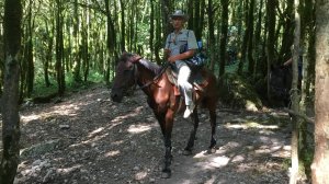 04.08.25.ДРОН DJI mini 4 Pro+МИКРОФОН DJI mic 2.