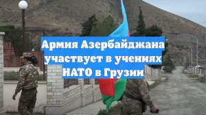 Армия Азербайджана участвует в учениях НАТО в Грузии