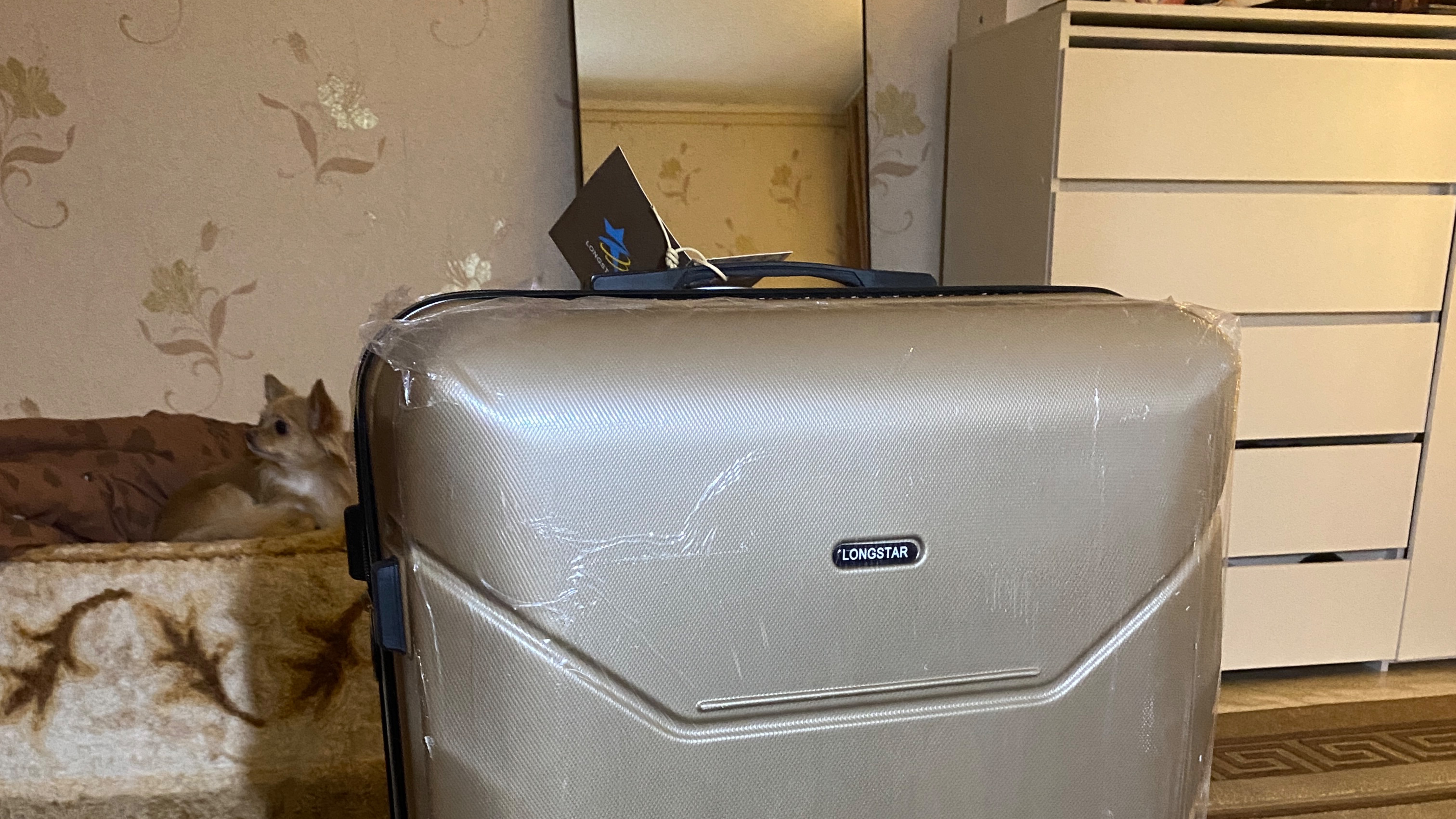 Едем в отпуск. Собираем чемодан смотреть онлайн