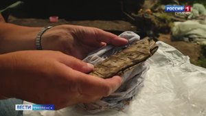 Археологи под Смоленском нашли необычные артефакты