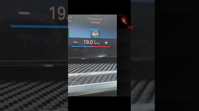 Песков: свободу волнистым попугайчикам... смотреть онлайн