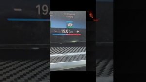 Песков: свободу волнистым попугайчикам...