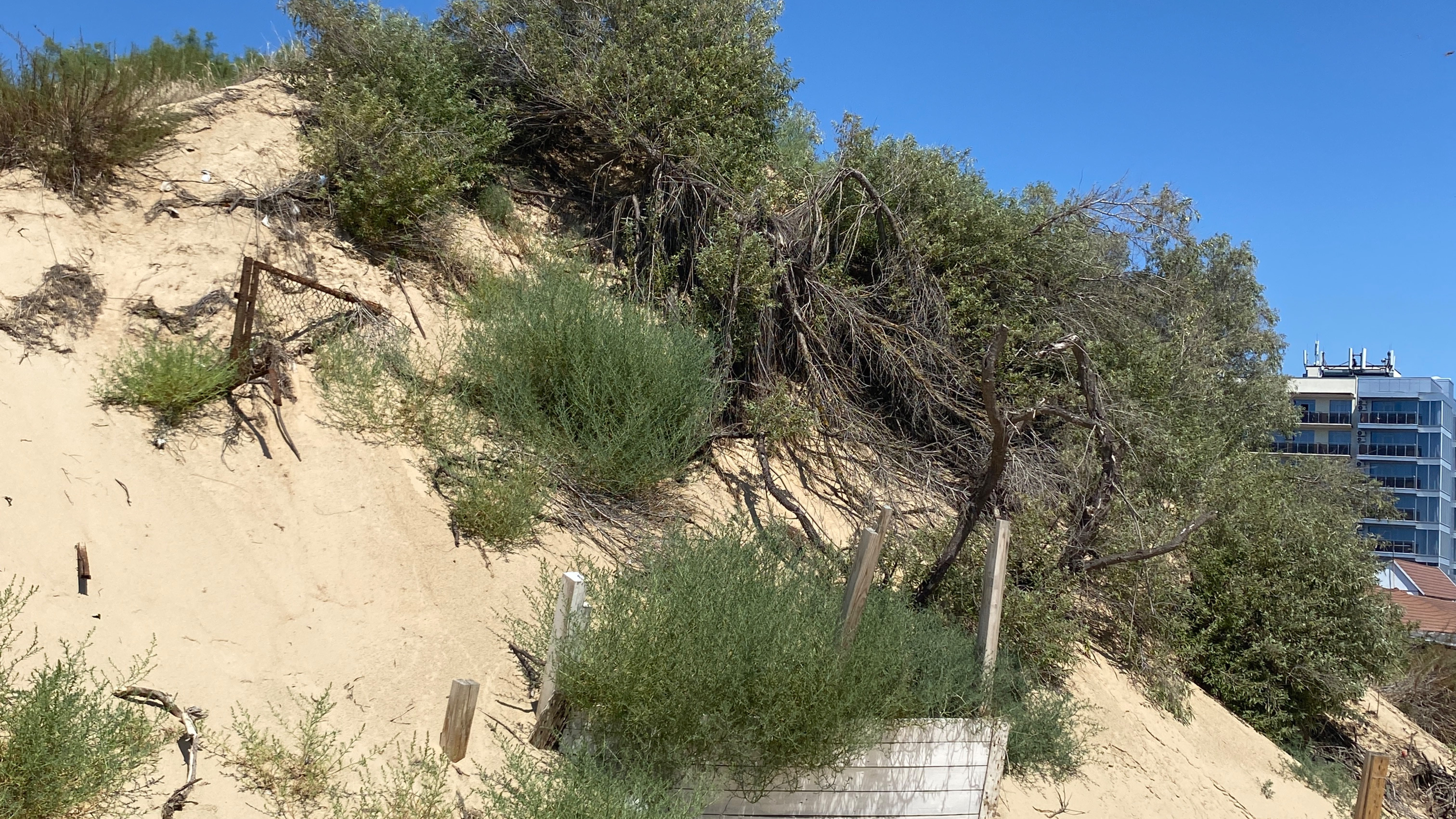 Анапа. Джемете. Гостевой проезд. Август 25 смотреть онлайн