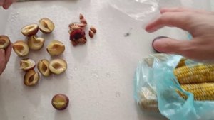 УРА!!Геленджик\Квартира,Море,Еда и все-все-все))))