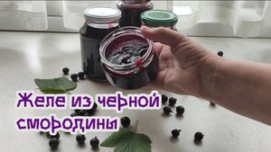 Желе из черной смородины
