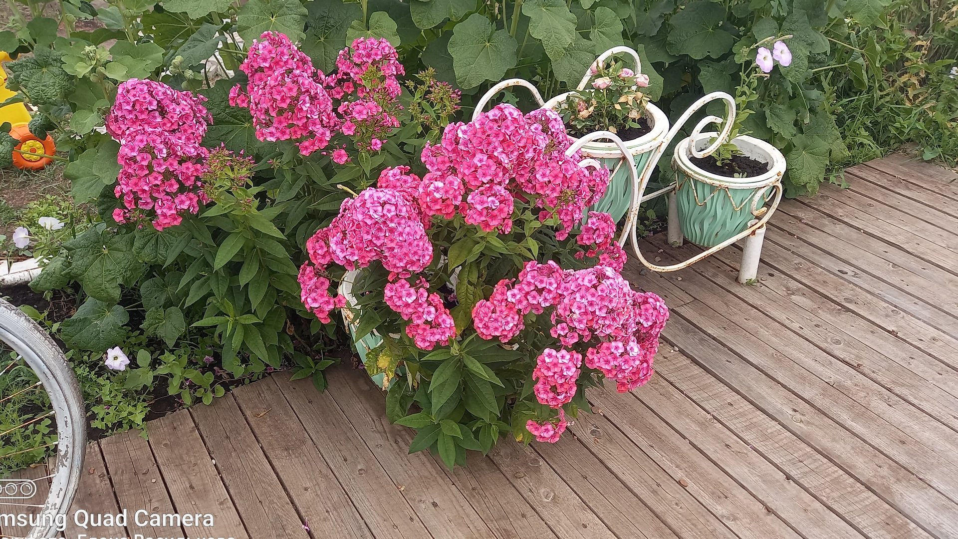 СП Вяжем летом//Отчёт 3//Продолжаю вязать носочки 🧦🧦🧦 смотреть онлайн