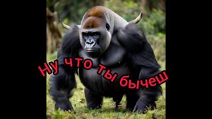 InShot_20250805_032355040ну что ты бычишь?