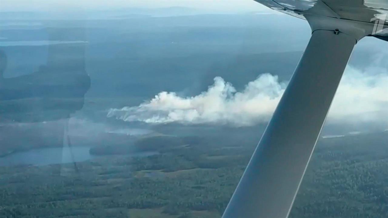 В Карелии ликвидировали свыше 70 лесных пожаров