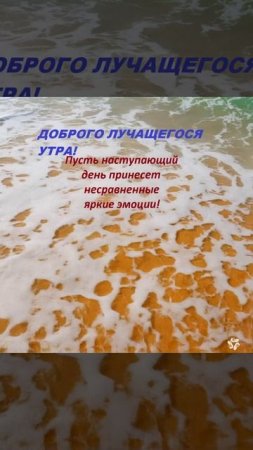 Доброго лучащегося утра!. Пусть наступающий день принесет несравненные яркие эмоции!