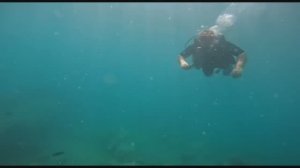 Вьетнам. Дайвинг. Подводные съемки. Việt nam. Lặn. Quay phim dưới nước.