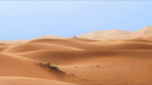 Сахих аль-Бухари, хадисы № 512-520. Фокус темы: МОЛИТВА (НАМАЗ, САЛЯТ)