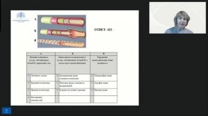 МК Медицинское теория-2