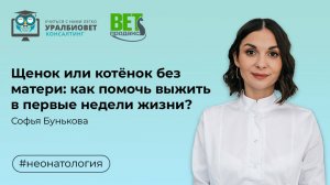 Щенок или котёнок без матери: как помочь выжить в первые недели жизни, лектор Софья Бунькова
