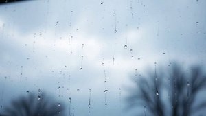 Шум дождя. Дождь. Дождь за окном