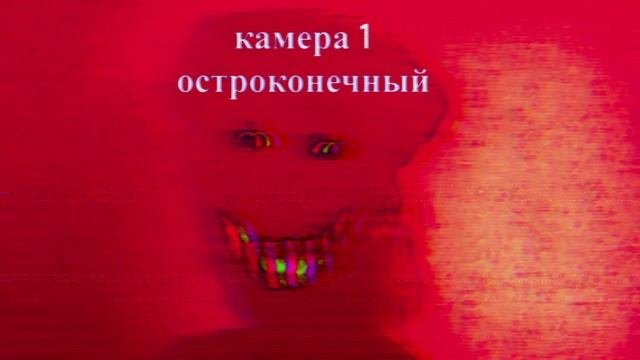 водонаводская область инцидент остроконечный