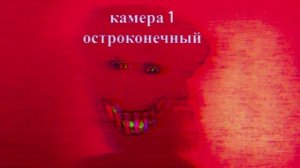 водонаводская область инцидент остроконечный