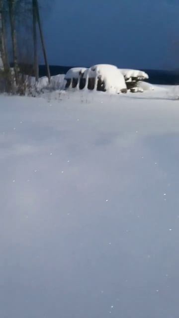 Мы вокруг этого живём!!! смотреть онлайн