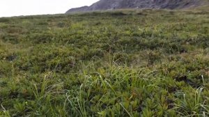 Восхождение на Диклосмта в августе  2020 года