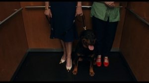 Супруги Роуз — Русский Трейлер (Дубляж, 2025)