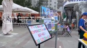 День рождения слонихи Даши