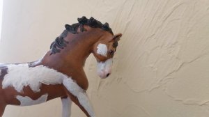 Пиар для канала Ziviy horse