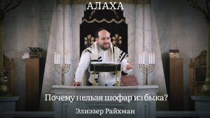 Почему нельзя шофар из быка? Красная корова, золотой телец и обвинитель-защитник