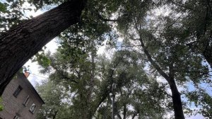 copy_184ADEC6-A117-4177-AEE3-7C709D22C2D7