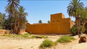 Сахих аль-Бухари, хадисы № 491-500. Фокус темы: ПРЕГРАДА (СУТРА)