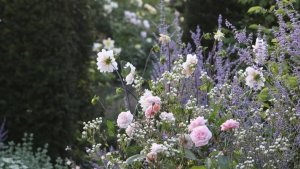 Идеи для сада: английский коттеджный сад