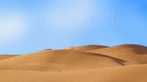 Сахих аль-Бухари, хадисы № 501-510. Фокус темы ПРЕГРАДА (СУТРА) - 2