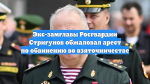 Экс-замглавы Росгвардии Стригунов обжаловал арест по обвинению во взяточничестве