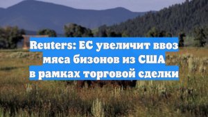 Reuters: ЕС увеличит ввоз мяса бизонов из США в рамках торговой сделки