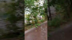 Стрим с другом