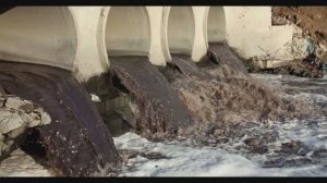 Почему пропадает рыба?! Причина первая!