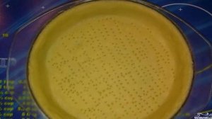 Французский лимонный тарт