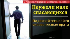 Неужели мало спасающихся. В. Вильмс. МСЦ ЕХБ