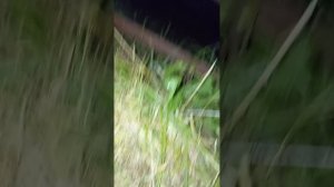 ЕДУ НА ДАЧУ😨😨