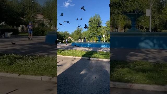 Семья Коршуновых  Korshunov family в прямом эфире!